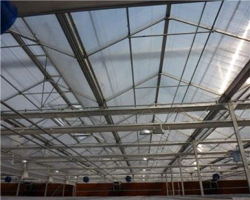 Tiszta polikarbonát üreges lap